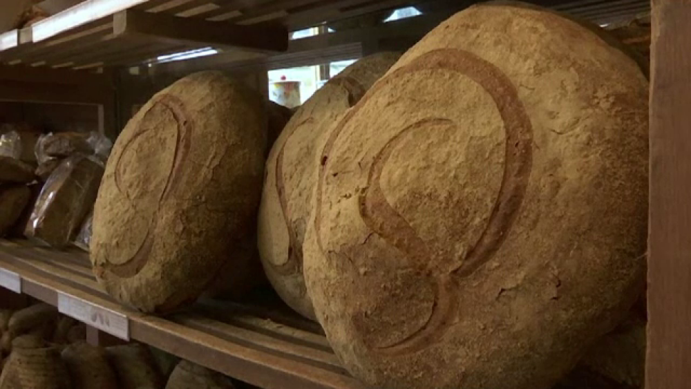 Afacerea cu pâine care-i aduce proprietarei 12 milioane euro pe an - Imaginea 1