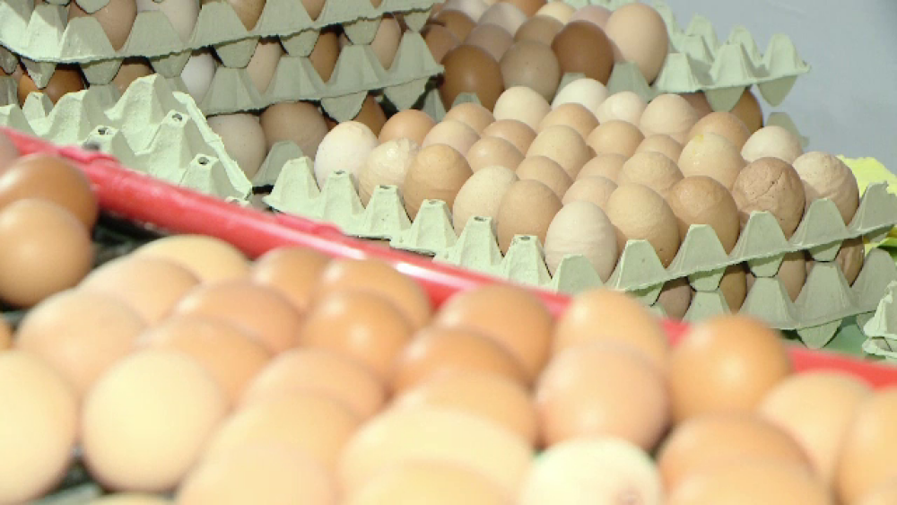 Românii, în topul consumatorilor de ouă. „Nu contează calitatea, contează doar prețul” - Imaginea 2