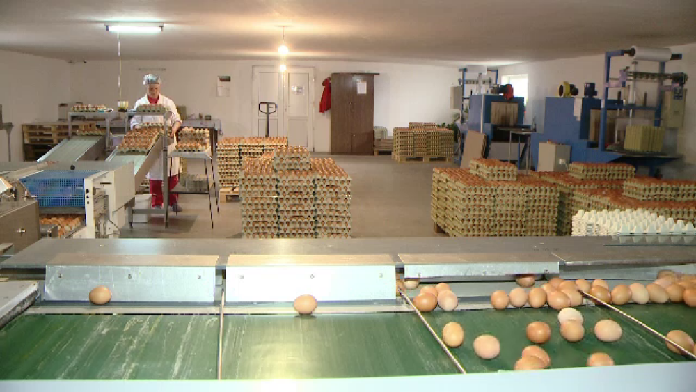 Românii, în topul consumatorilor de ouă. „Nu contează calitatea, contează doar prețul” - Imaginea 3