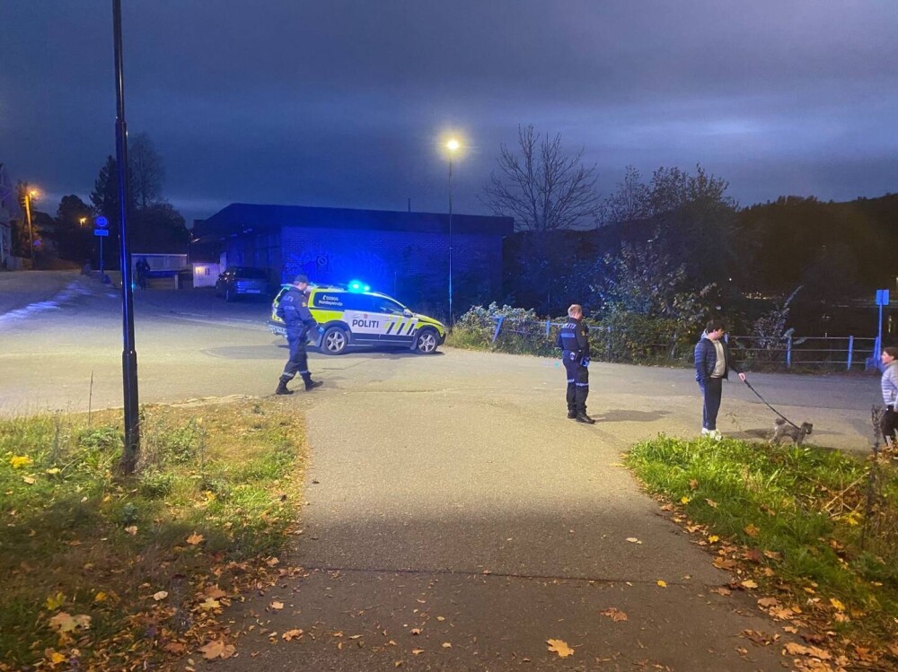 FOTO. Cinci persoane ucise de un bărbat înarmat cu un arc şi săgeţi, în Norvegia. Suspectul a fost arestat - Imaginea 5