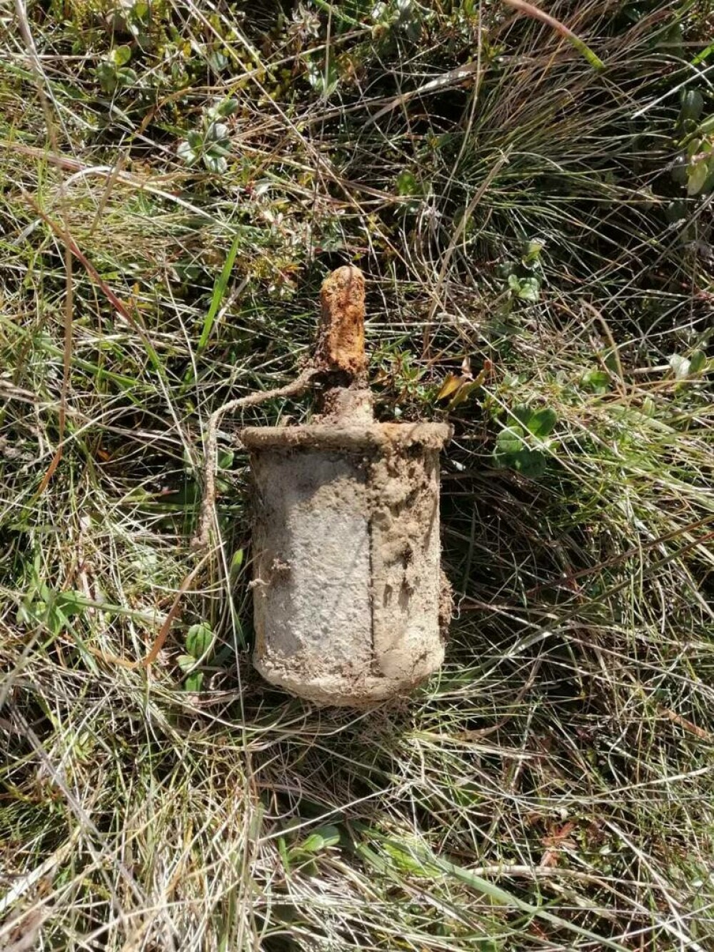 Descoperirea făcută de un bărbat cu un detector de metale în Harghita. FOTO - Imaginea 2