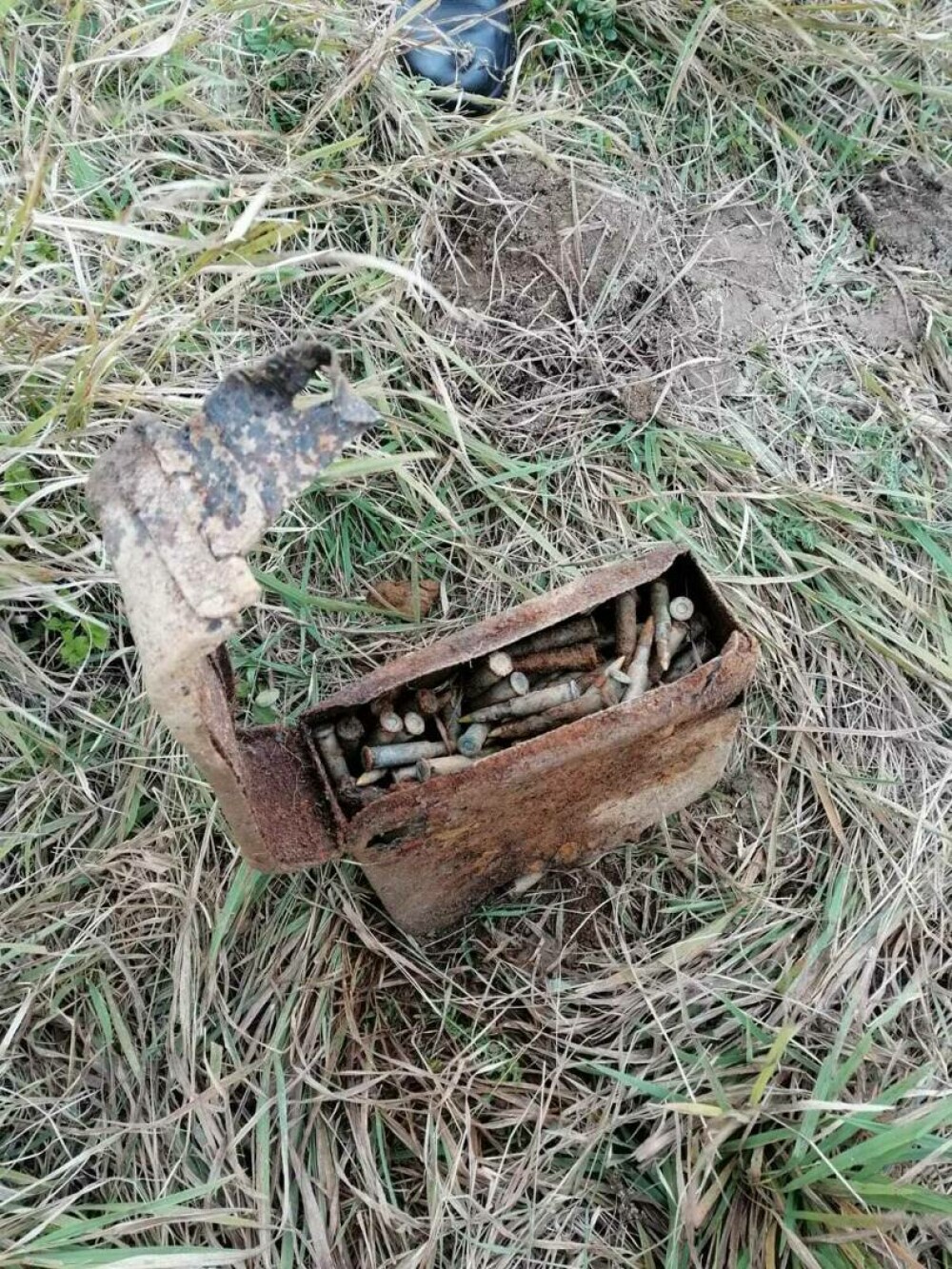 Descoperirea făcută de un bărbat cu un detector de metale în Harghita. FOTO - Imaginea 7