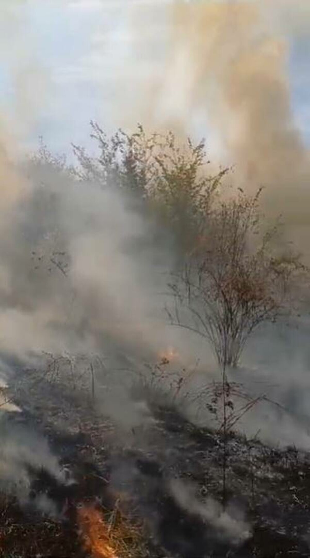 Incendiu puternic de vegetaţie în Argeș. Focul se extinde violent | FOTO - Imaginea 1