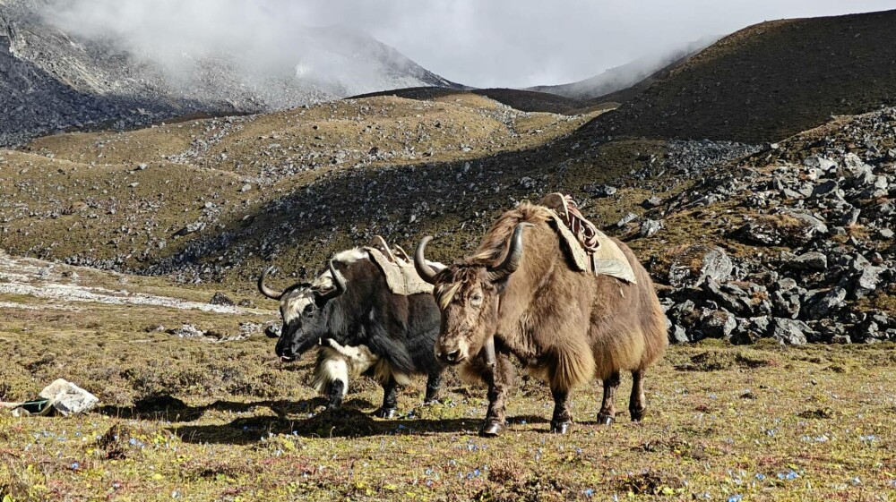 UPDATE: SUMMIT AMA DABLAM! Expediție în Himalaya pe cel mai tehnic vârf din lume. Jurnal LIVE BLOG - Imaginea 43