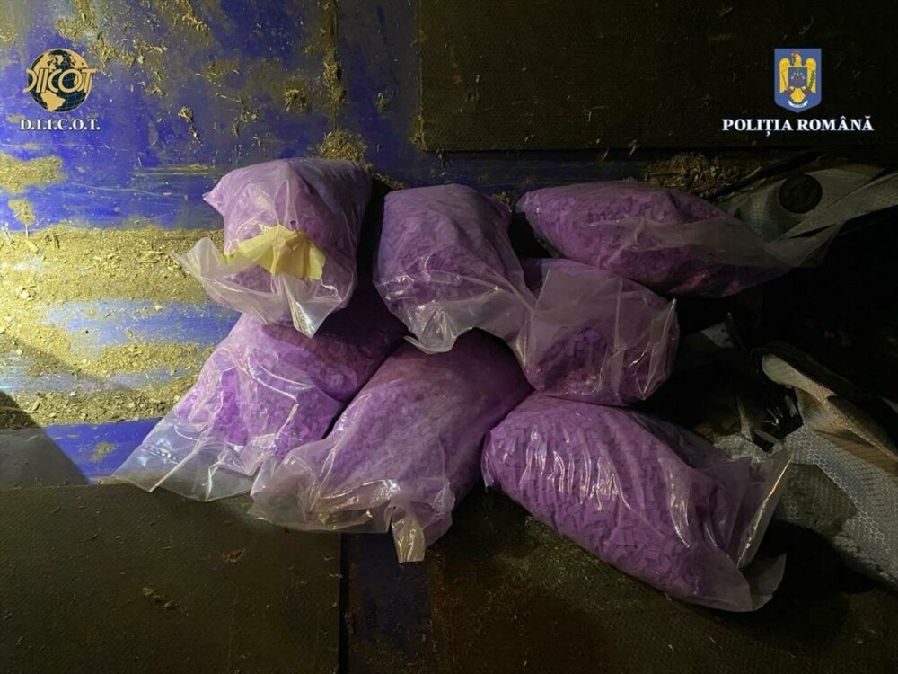 Captură record de droguri în județul Argeș. Polițiștii au descoperit ecstasy în valoare de 4.000.000 de euro | FOTO - Imaginea 5