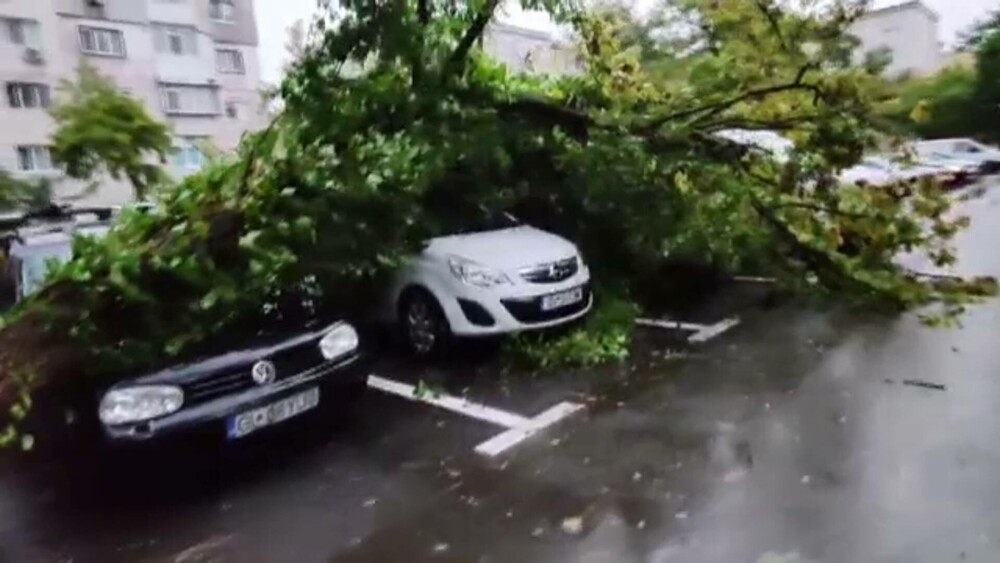 România sub semnul furtunilor. Mașini sub ape, străzi inundate și copaci doborâți de vânt, în Constanța și Galați - Imaginea 5