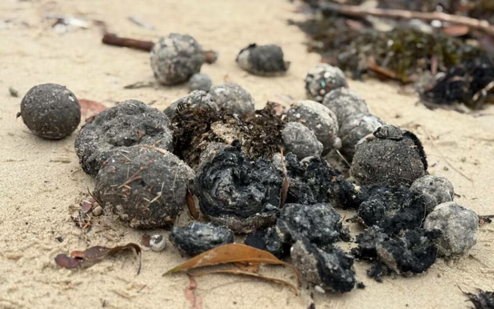 Două plaje populare din Sydney au fost închise după apariţia unor misterioase bile negre. FOTO - Imaginea 2