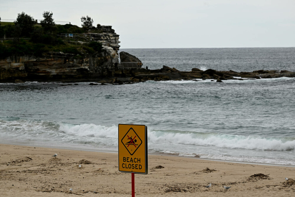 Două plaje populare din Sydney au fost închise după apariţia unor misterioase bile negre. FOTO - Imaginea 4