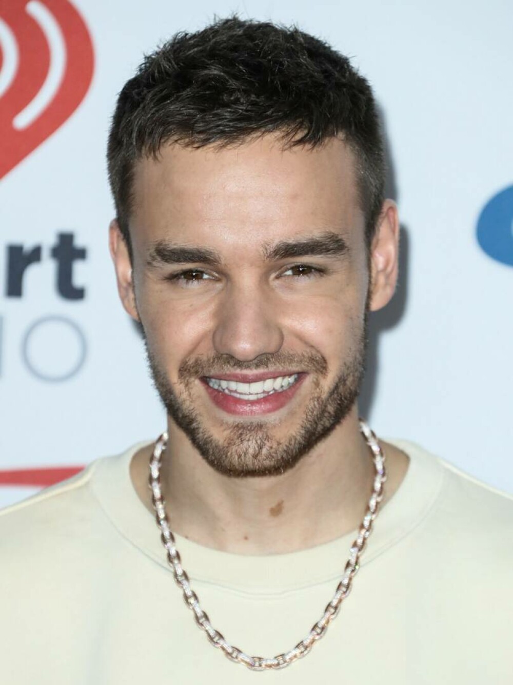 Fanii și apropiații lui Liam Payne, devastați de moartea artistului. Cum au reacționat la aflarea veștii: Nu-mi vine să cred - Imaginea 14