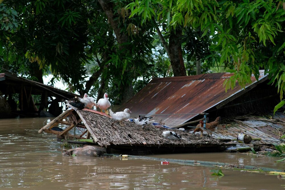 Furtuna tropicală Trami a lăsat în urma sa cel puţin 100 de morţi în Filipine. FOTO - Imaginea 1