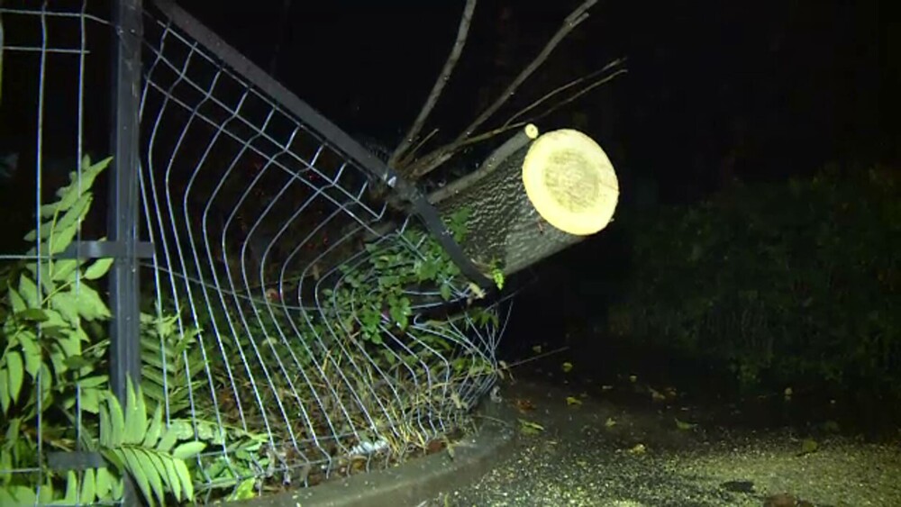 Vreme extremă în aproape toată țara. Cod roșu de ploi, vijelii periculoase și ninsori. ”Anotimpul s-a schimbat peste noapte” - Imaginea 1