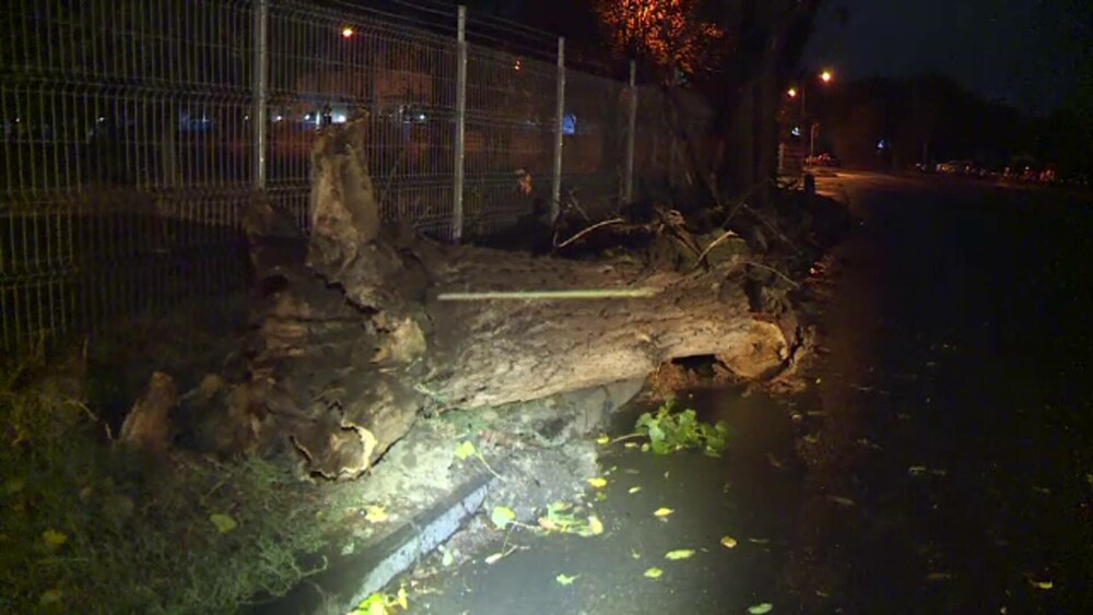 Vreme extremă în aproape toată țara. Cod roșu de ploi, vijelii periculoase și ninsori. ”Anotimpul s-a schimbat peste noapte” - Imaginea 2