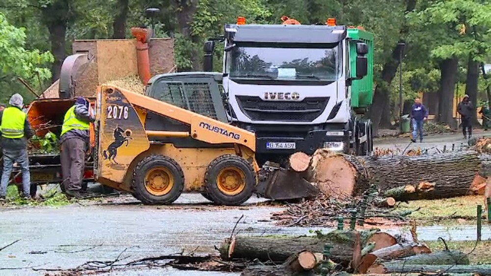 Vreme extremă în aproape toată țara. Cod roșu de ploi, vijelii periculoase și ninsori. ”Anotimpul s-a schimbat peste noapte” - Imaginea 4