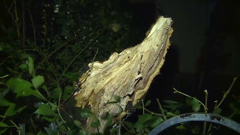 Vreme extremă în aproape toată țara. Cod roșu de ploi, vijelii periculoase și ninsori. ”Anotimpul s-a schimbat peste noapte” - Imaginea 6