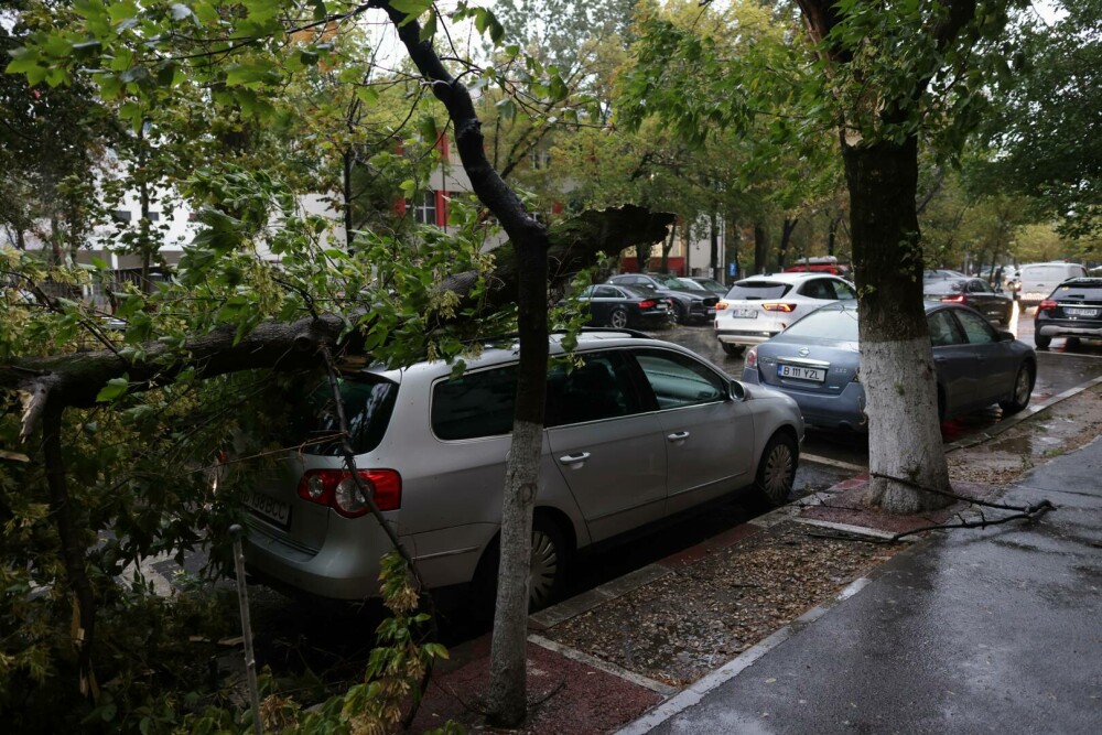 Vreme extremă în aproape toată țara. Cod roșu de ploi, vijelii periculoase și ninsori. ”Anotimpul s-a schimbat peste noapte” - Imaginea 12