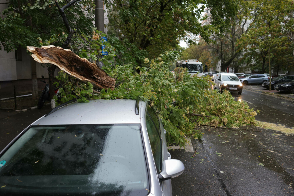 Vreme extremă în aproape toată țara. Cod roșu de ploi, vijelii periculoase și ninsori. ”Anotimpul s-a schimbat peste noapte” - Imaginea 13