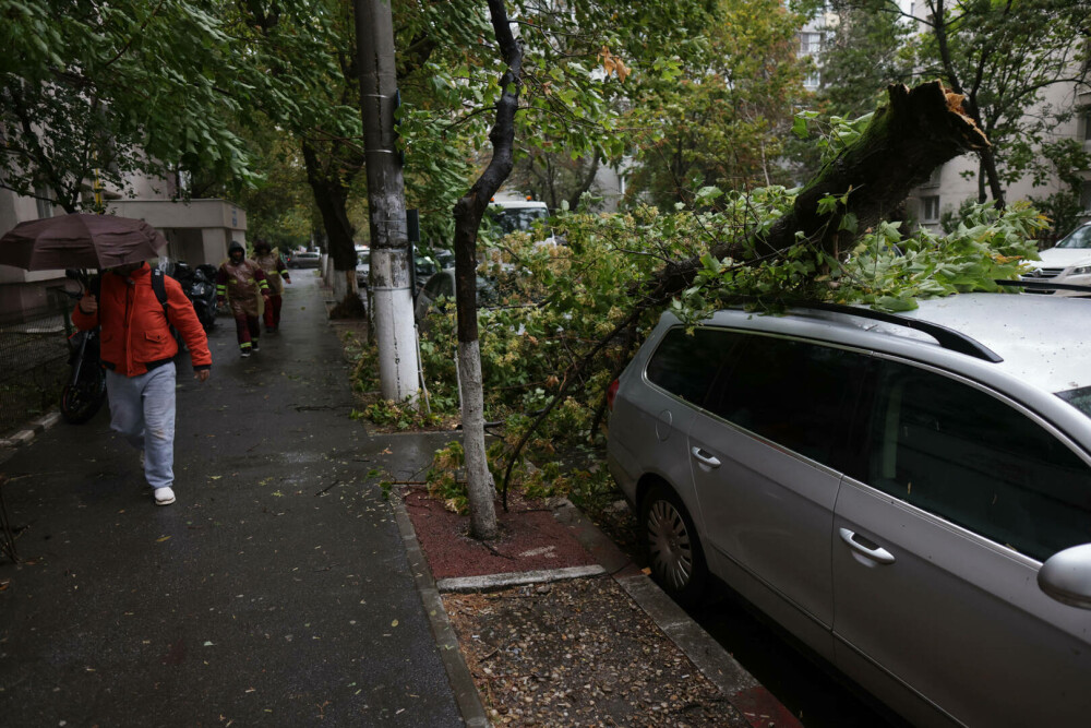 Vreme extremă în aproape toată țara. Cod roșu de ploi, vijelii periculoase și ninsori. ”Anotimpul s-a schimbat peste noapte” - Imaginea 14