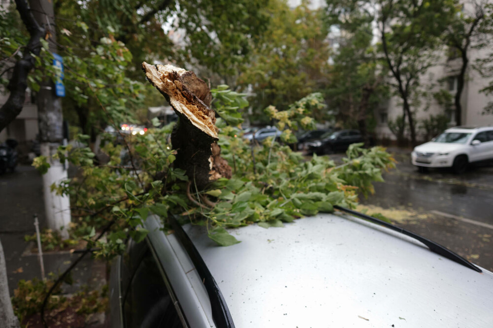 Vreme extremă în aproape toată țara. Cod roșu de ploi, vijelii periculoase și ninsori. ”Anotimpul s-a schimbat peste noapte” - Imaginea 15