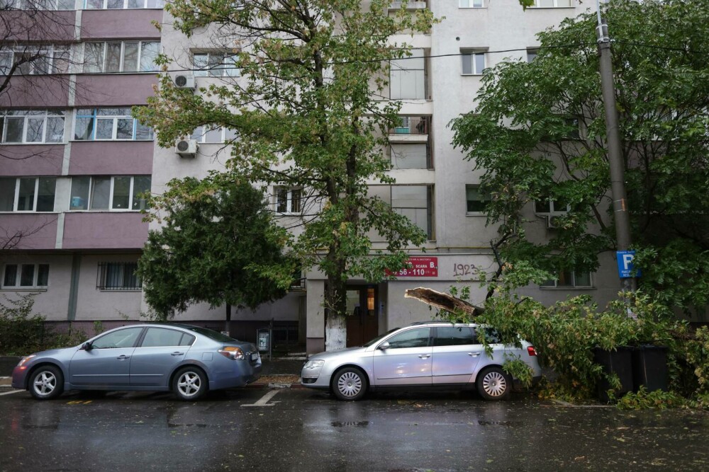 Vreme extremă în aproape toată țara. Cod roșu de ploi, vijelii periculoase și ninsori. ”Anotimpul s-a schimbat peste noapte” - Imaginea 16