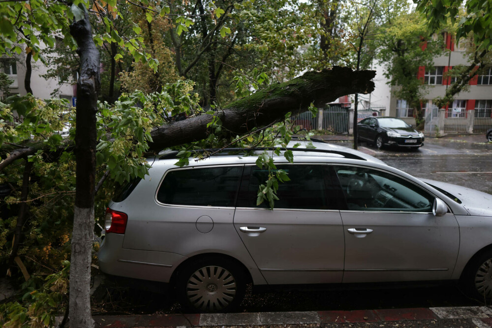 Vreme extremă în aproape toată țara. Cod roșu de ploi, vijelii periculoase și ninsori. ”Anotimpul s-a schimbat peste noapte” - Imaginea 17