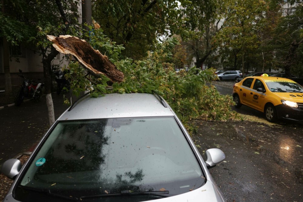 Vreme extremă în aproape toată țara. Cod roșu de ploi, vijelii periculoase și ninsori. ”Anotimpul s-a schimbat peste noapte” - Imaginea 18