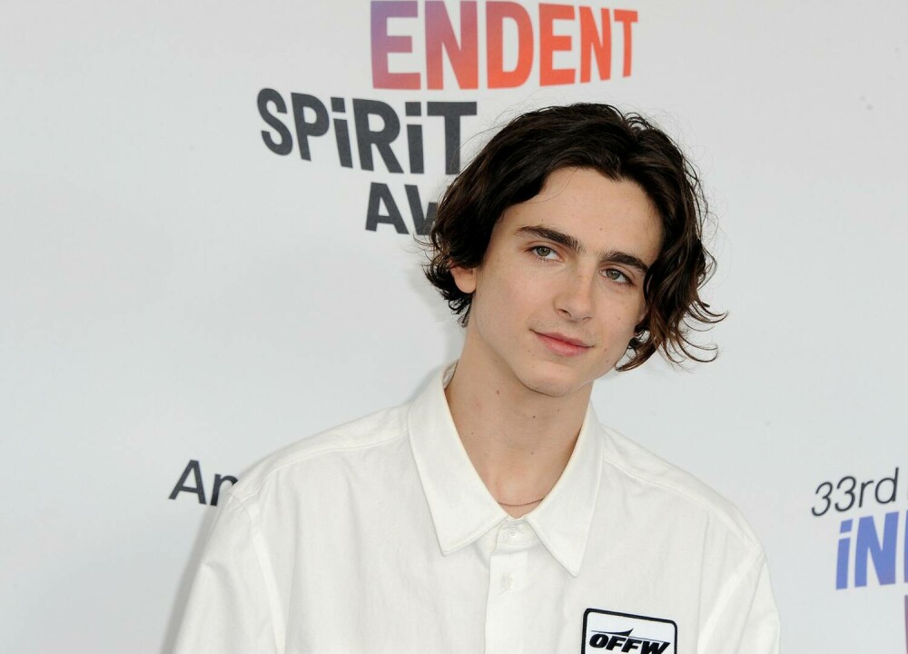 Timothée Chalamet, schimbare radicală de look. Cum arată acum actorul. GALERIE FOTO - Imaginea 21