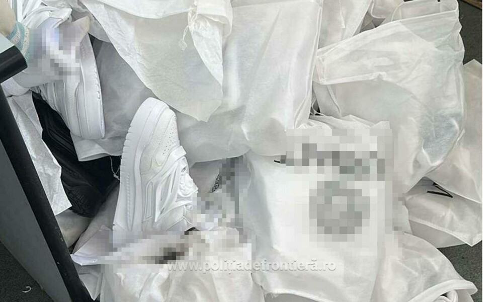 Captură de aproape 873.000 de lei în Giurgiu. Ce ascundeau mai mulți pasageri în patru autocare venite din Turcia. FOTO - Imaginea 4