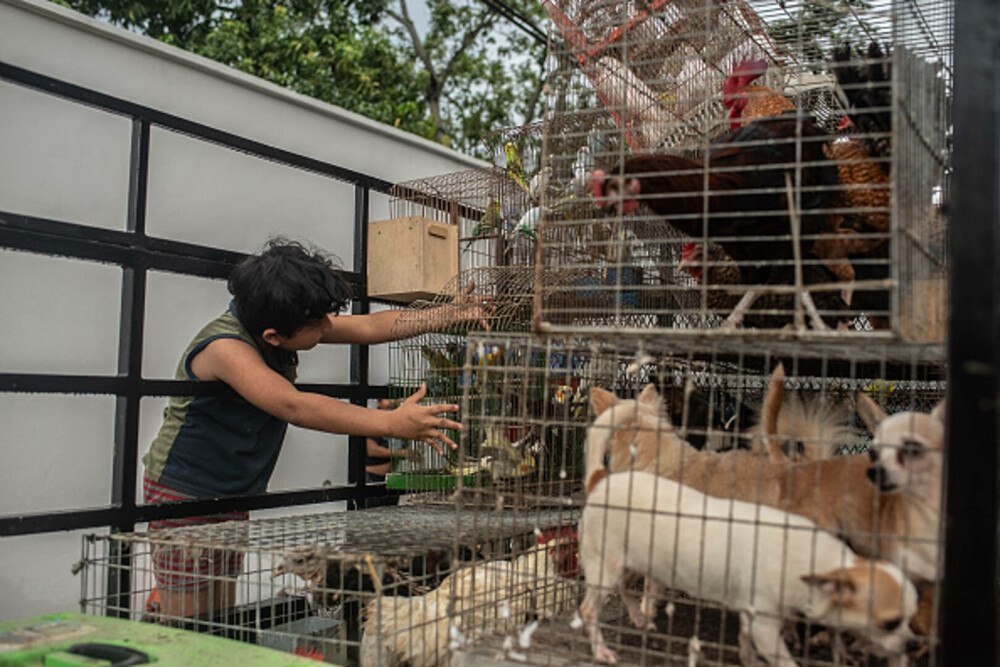 Bilanțul ploilor torențiale din Mexic a crescut la 47 de morți. Salvatorii încearcă să deblocheze drumurile. GALERIE FOTO - Imaginea 21