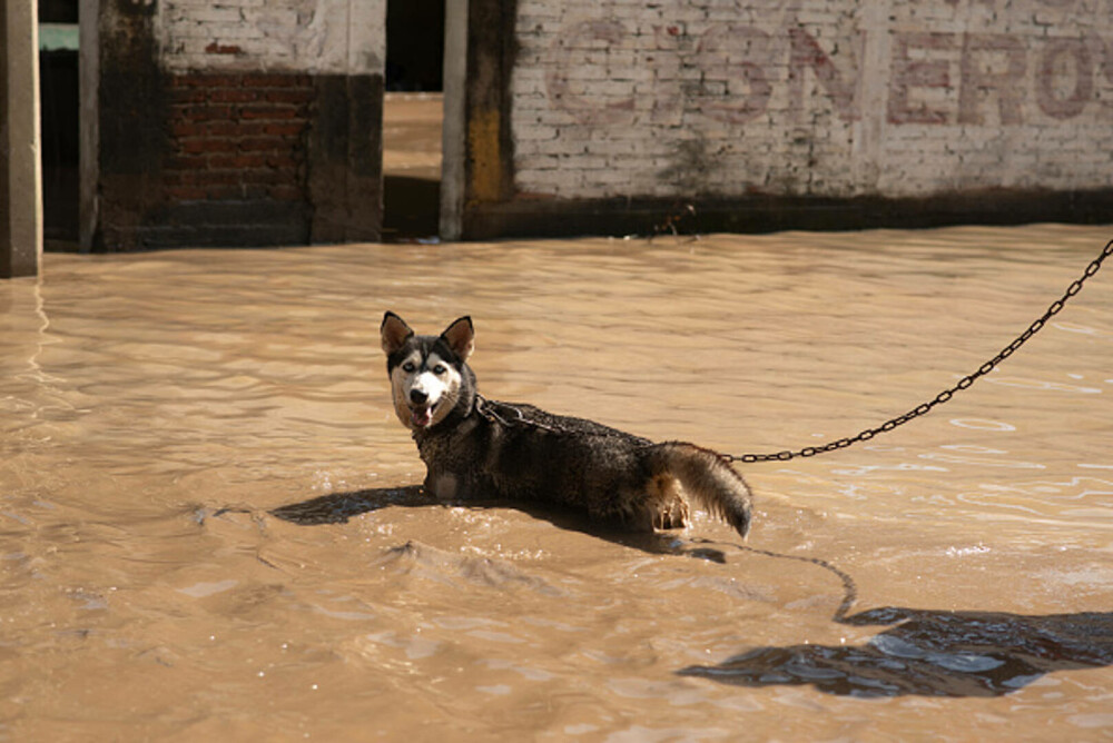 Bilanțul ploilor torențiale din Mexic a crescut la 47 de morți. Salvatorii încearcă să deblocheze drumurile. GALERIE FOTO - Imaginea 30