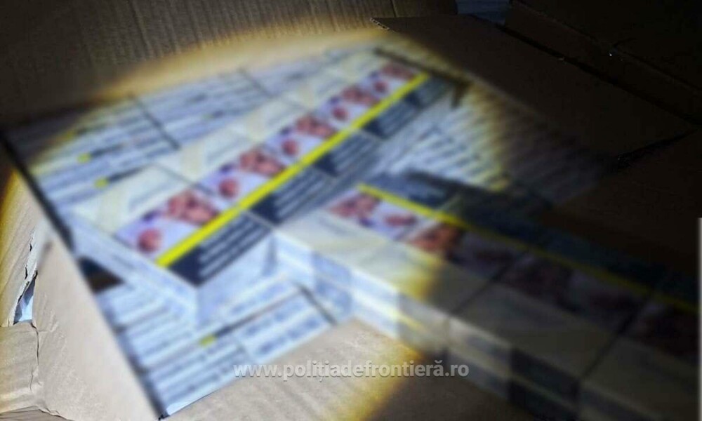 Captură record în Dolj. Polițiștii au făcut o descoperire de 16 milioane de lei în două camioane venite din Grecia. FOTO - Imaginea 2