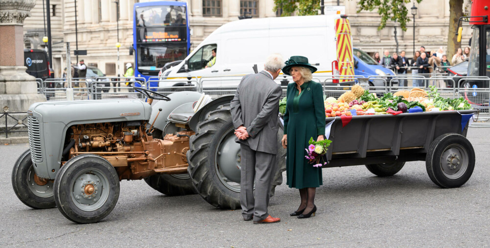Regina Camilla, apariție plină de eleganță la un eveniment organizat la Westminster Abbey. GALERIE FOTO - Imaginea 14
