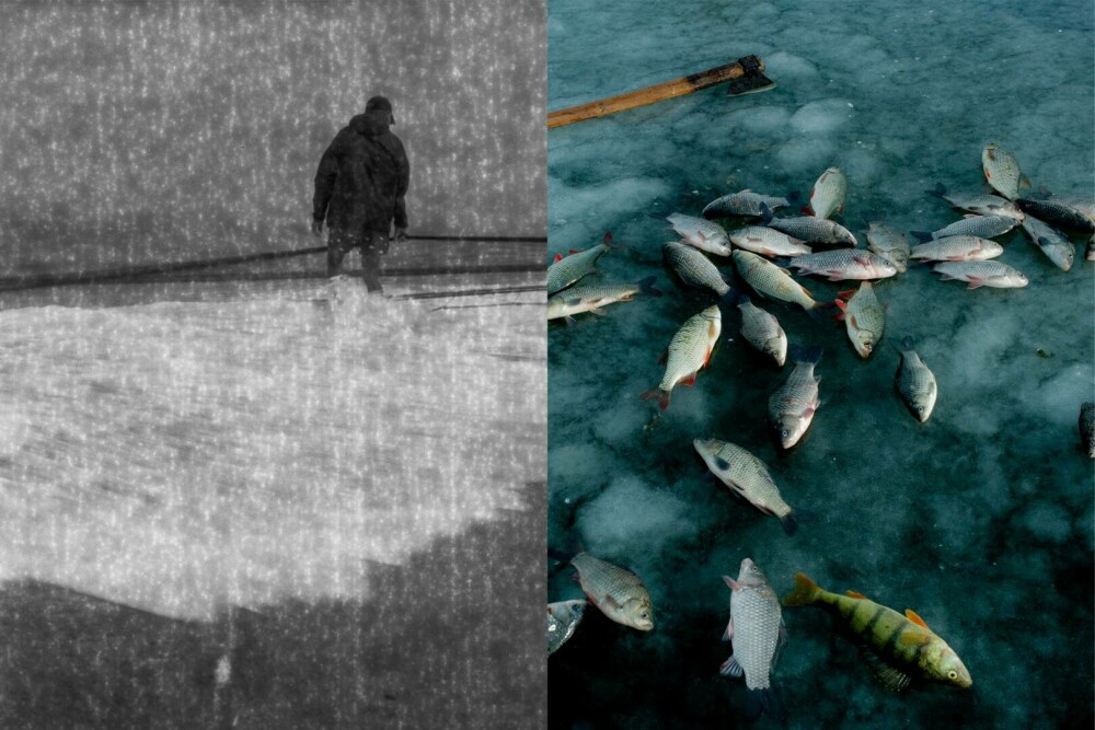 Bucharest Photofest 2025: zece ani de cultură vizuală și moștenire contemporană. Ultimele trei zile de festival - Imaginea 12