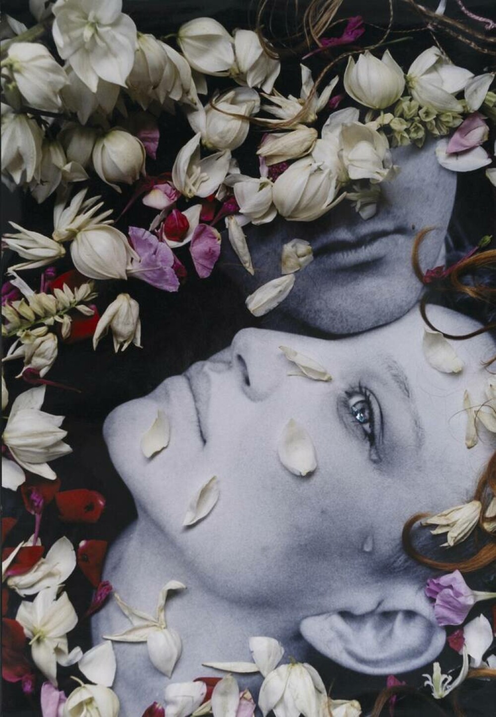 Bucharest Photofest 2025: zece ani de cultură vizuală și moștenire contemporană. Ultimele trei zile de festival - Imaginea 14