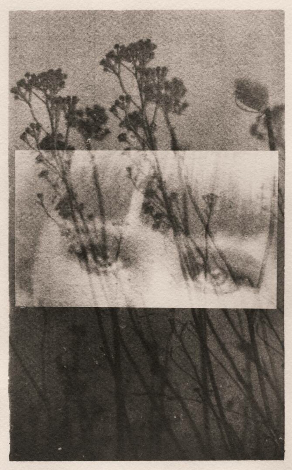 Bucharest Photofest 2025: zece ani de cultură vizuală și moștenire contemporană. Ultimele trei zile de festival - Imaginea 20