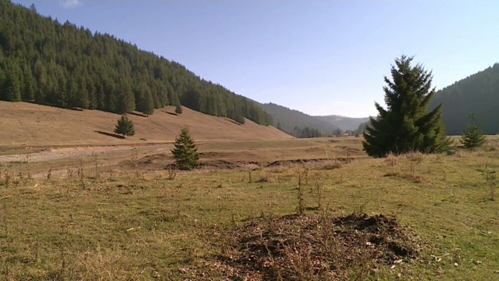 Ce este asomatorul, dispozitivul găsit lângă trupurile tinerilor morți în mașină. Cuplul urma să plece la muncă în Olanda - Imaginea 2