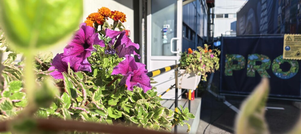 Huawei Pura 80 Ultra: telefonul care e mai mult cameră decât smartphone - Imaginea 10