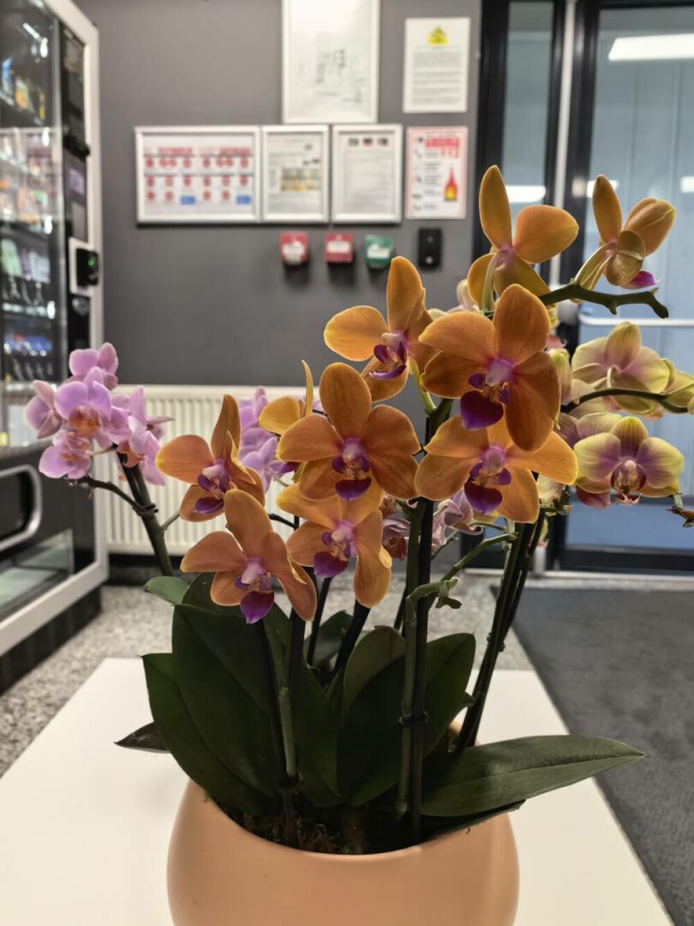 Huawei Pura 80 Ultra: telefonul care e mai mult cameră decât smartphone - Imaginea 14