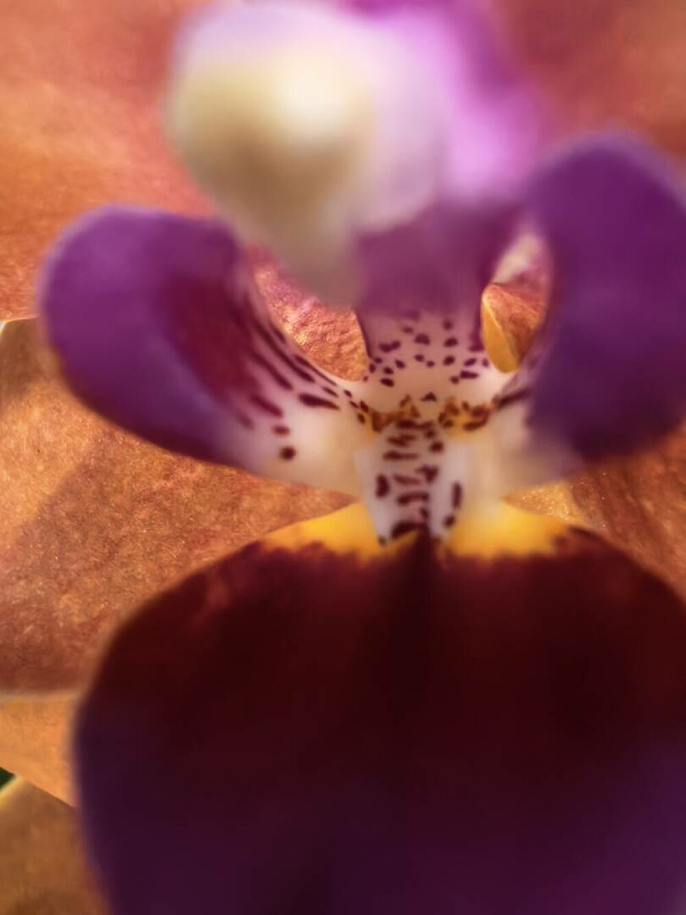 Huawei Pura 80 Ultra: telefonul care e mai mult cameră decât smartphone - Imaginea 15