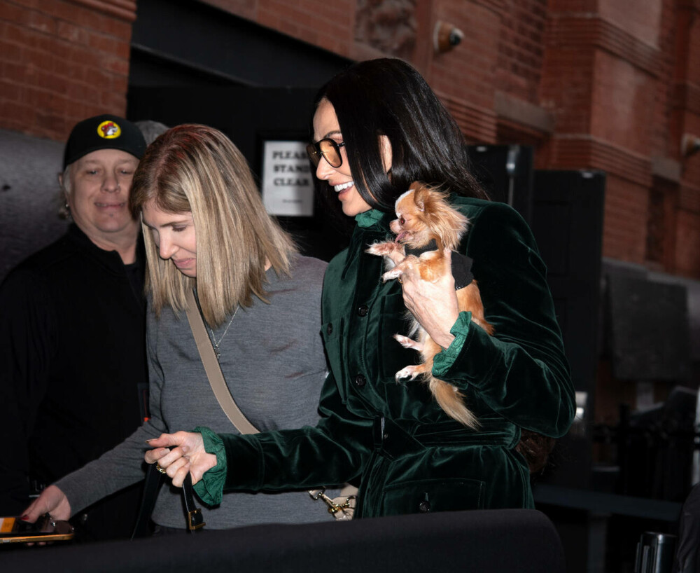 Demi Moore, apariție plină de eleganță la New Yorker Festival. Ce ținuă a purtat. GALERIE FOTO - Imaginea 1