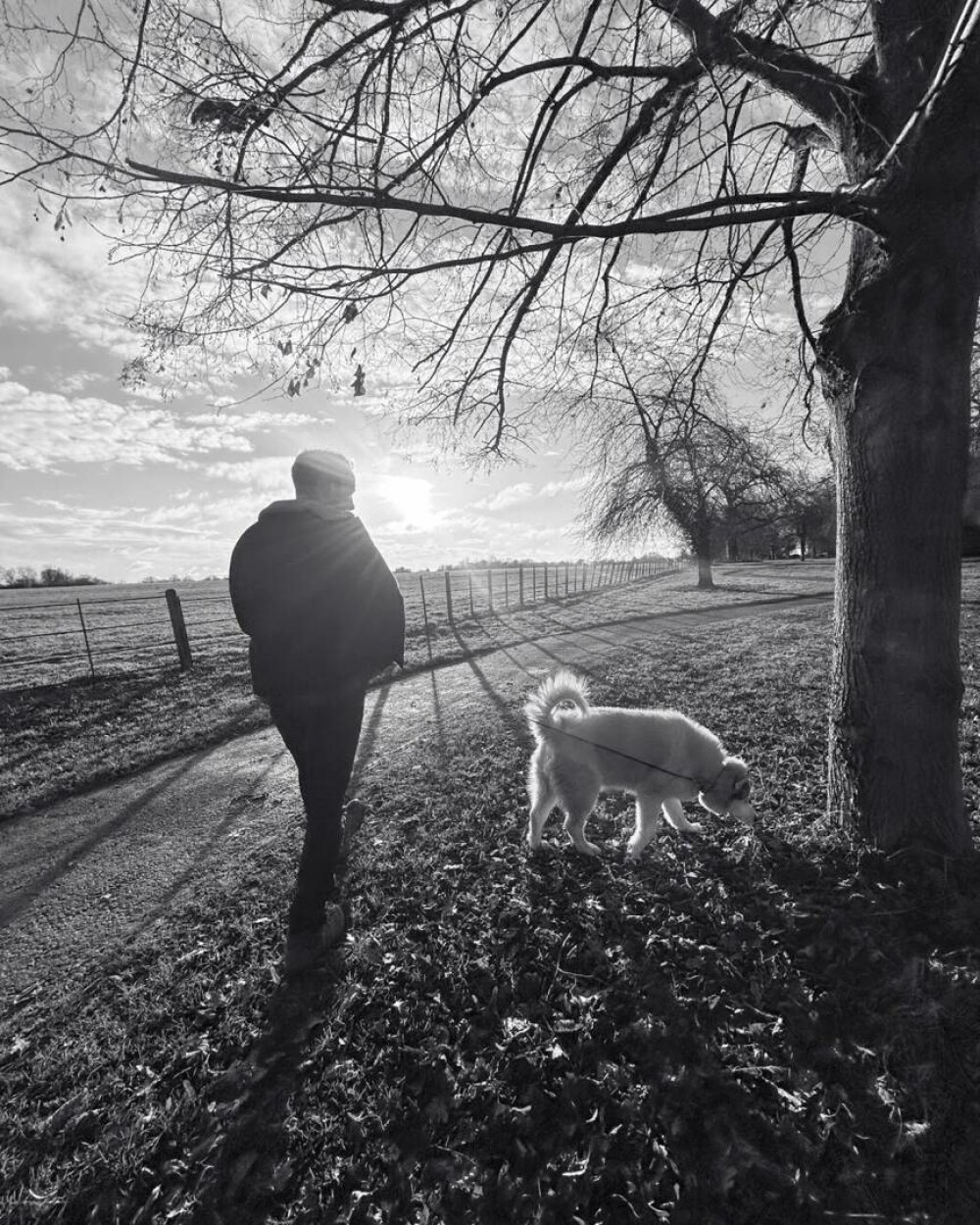 Șoferul unui Ferrari a murit în timp ce încerca să își impresioneze iubita cu zgomotul mașinii. S-a izbit de un copac - Imaginea 2