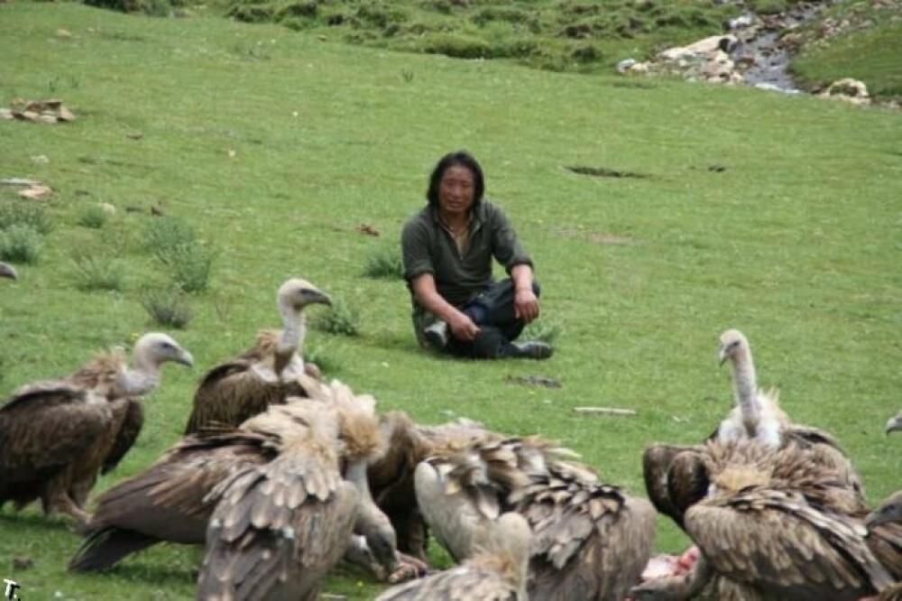 IMAGINI SOCANTE! Ritual barbar in Tibet: mancat de vulturi dupa moarte! - Imaginea 12