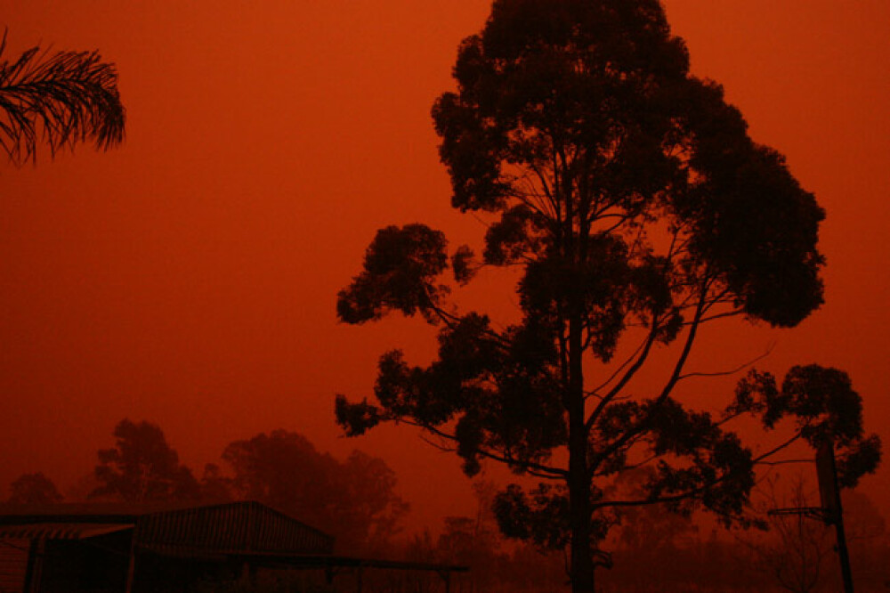Furtuna de nisip la Sydney! Imagini incredibile! GALERIE FOTO - Imaginea 6