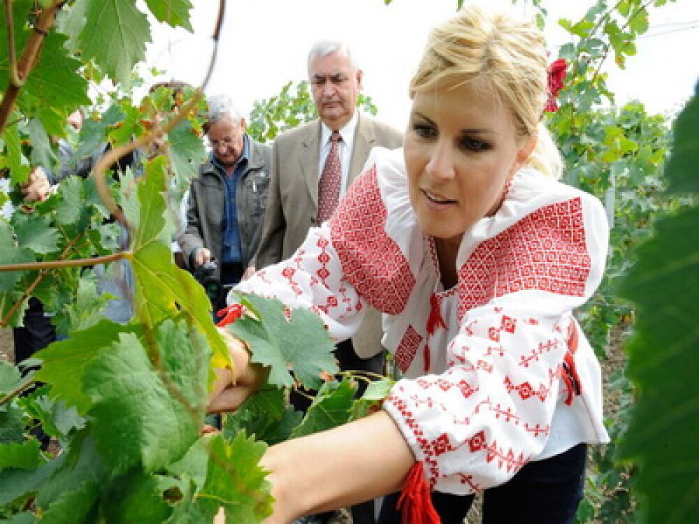 Ministrul Elena Udrea a fost la cules de struguri, imbracata in ie! FOTO - Imaginea 2