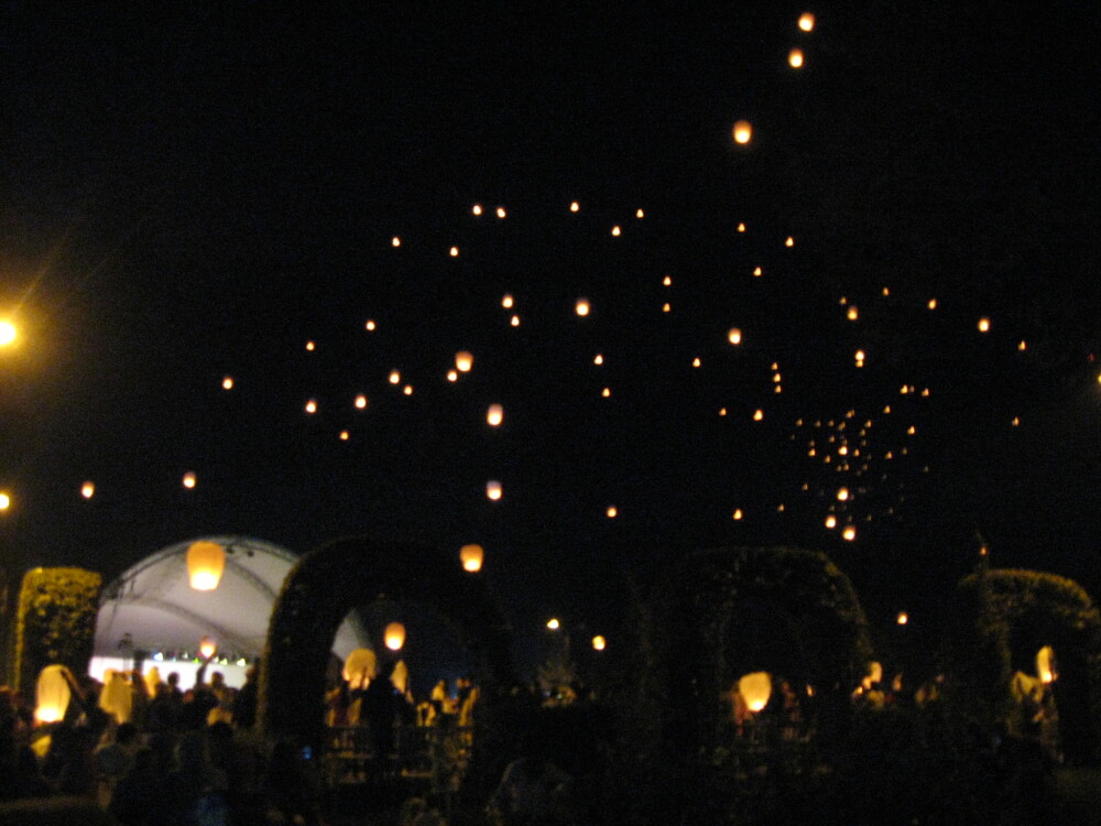 Peste 2000 de lampioane au luminat Timisoara in amintirea celor care au fost rapusi de cancer. FOTO - Imaginea 1
