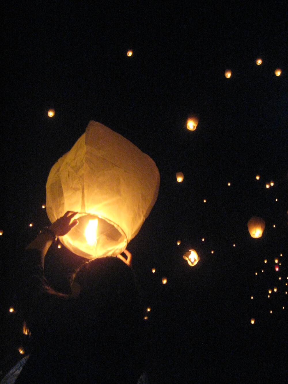 Peste 2000 de lampioane au luminat Timisoara in amintirea celor care au fost rapusi de cancer. FOTO - Imaginea 6