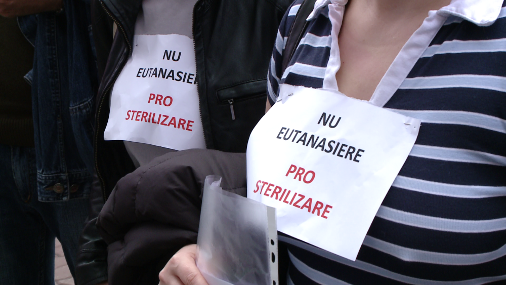 Protest impotriva eutanasierii. Iubitorii de animale cer sterilizarea cainilor si nu uciderea lor - Imaginea 7