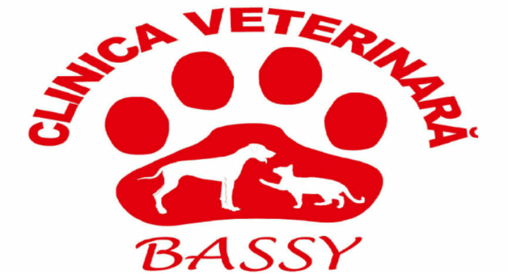 (P) Clinica Veterinara Bassy - pentru un animal de companie sanatos si fericit! - Imaginea 1