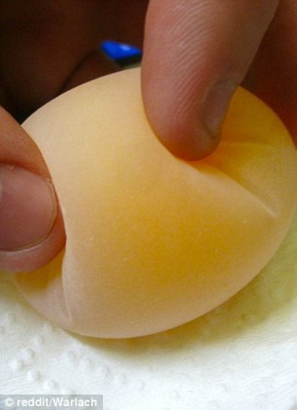 Ce ar fi ouat gaina unui barbat din SUA. Imaginea care a ajuns viral pe internet. FOTO - Imaginea 3