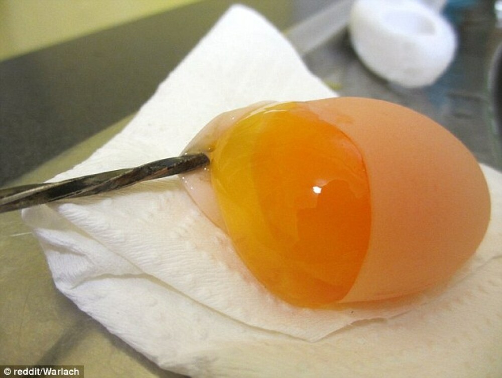 Ce ar fi ouat gaina unui barbat din SUA. Imaginea care a ajuns viral pe internet. FOTO - Imaginea 4