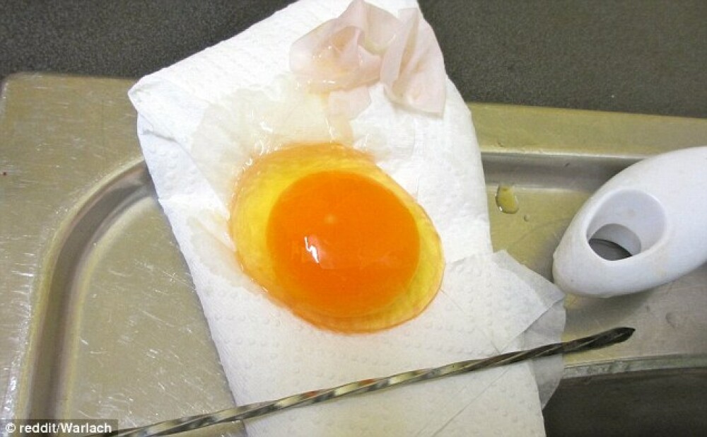 Ce ar fi ouat gaina unui barbat din SUA. Imaginea care a ajuns viral pe internet. FOTO - Imaginea 5